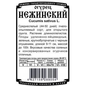 Огурец Нежинский 10 шт