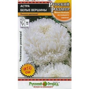 Астра Русский Размер Белые Вершины