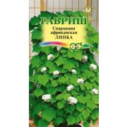 Спармания комнатная Липка 3 шт.