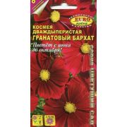 Космея Гранатовый Бархат дваждыперистая 0,3 гр