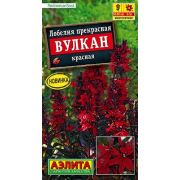 Лобелия Вулкан Красная