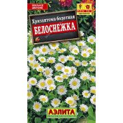 Хризантема Белоснежка