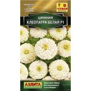 Цинния Клеопатра Белая F1 12шт