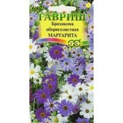 Брахикома Маргарита иберисолистная 0,05гр.