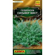 Гелихризум Сильвер Мист 3шт