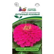 Цинния Античный Розовый 4 шт