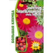 Пиретрум Гиганты Робинсона 250 шт
