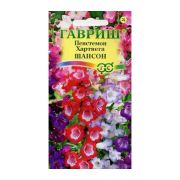 Пенстемон Хартвига Шансон