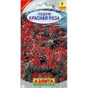 Седум Красная Роза