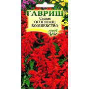 Сальвия Огненное Волшебство