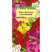 Флокс Друммонда Очарование Смесь 0,05 гр