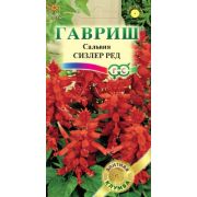 Сальвия Сизлер Ред 5 шт