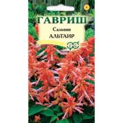 Сальвия Альтаир карликовая 5шт