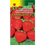 Клубника Наваждение F1 7 шт