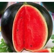 Арбуз Будулай 5 шт