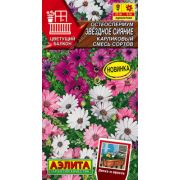 Остеоспермум Звездное Сияние Карликовый смесь 10 шт