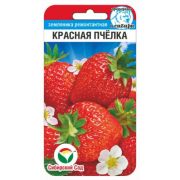 Земляника Красная пчелка 10 шт