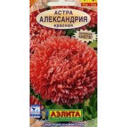 Астра Александрия Красная