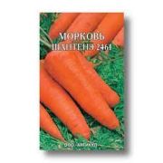 Морковь Шантанэ 2461 Лента