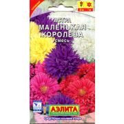 Астра Маленькая Королева