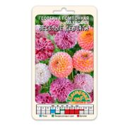 Георгина Веселые Девчата 0,2 гр