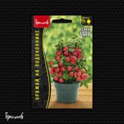 Томат Баяя Суперскороспелый 20 шт