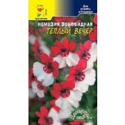 Немезия Теплый Вечер