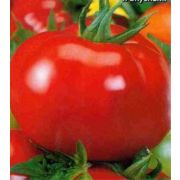 Томат Пышка 20 шт