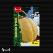 Дыня Эфиопка 20 шт